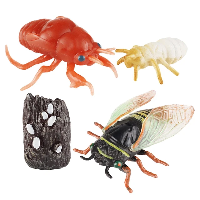 JOINPAYA – Lot De 2 Jouets En Fer Blanc Vintage – Cigale Et Grenouille – Déco Rétro – Cadeau Nostalgique