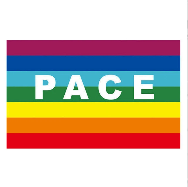 FAHNE REGENBOGEN MIT PACE Flagge Friedens Hissflagge 90x150cm EUR 9,19