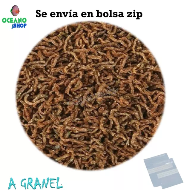 Larva roja de mosquito Fd liolifizada en cantidad a granel para peces de acuario