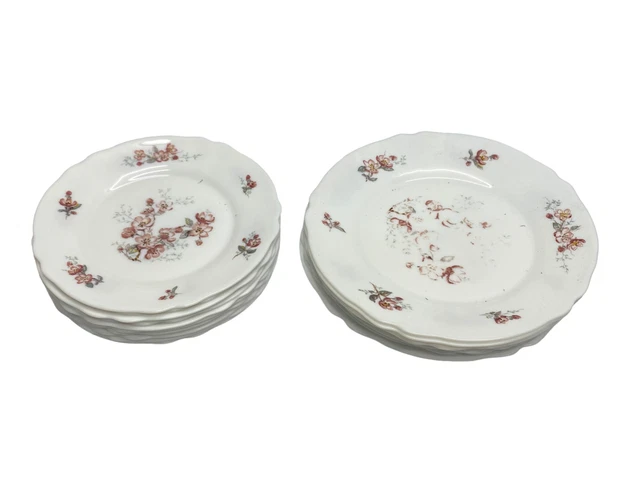 Lot De 18 Assiettes Arcopal Myosotis – Creuses, Plates, Dessert – Années 70