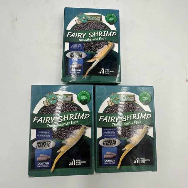 3 Boxes Fairy Shrimp Thailandensis Eggs Live Fish Food for Hatching