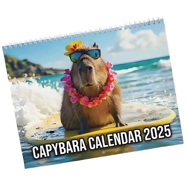 Calendrier De L'Avent Capybara 2025 - 24 Jours, Décor Acrylique 2D à Accrocher, Pour Sapin De Noël Et Ambiance Festive