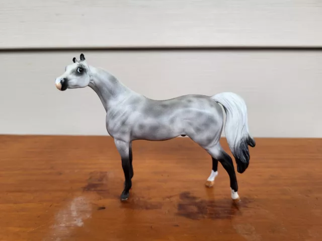 Custom Peter Stone Arabian Chip dapple grey turned head