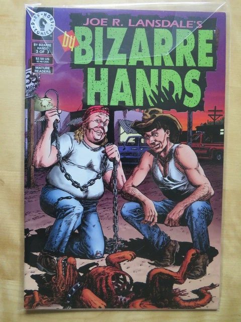 Dark Horse Comic By Bizzare Hands 3 of 3 June 1994 Horror