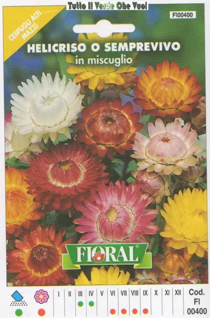 Helicriso O Semprevivo In Miscuglio - Cespugli Alti Mazzi-Floral - Busta Sementi