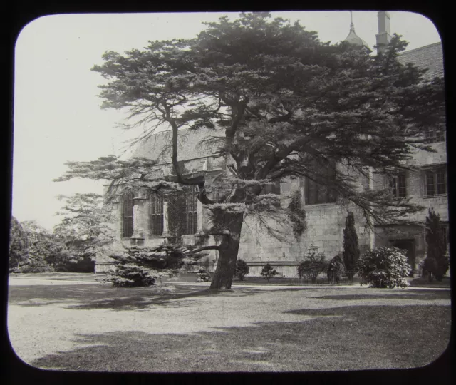 GWW Glass Magic lantern slide WADHAM COLLEGE GARDENS C1890 OXFORD