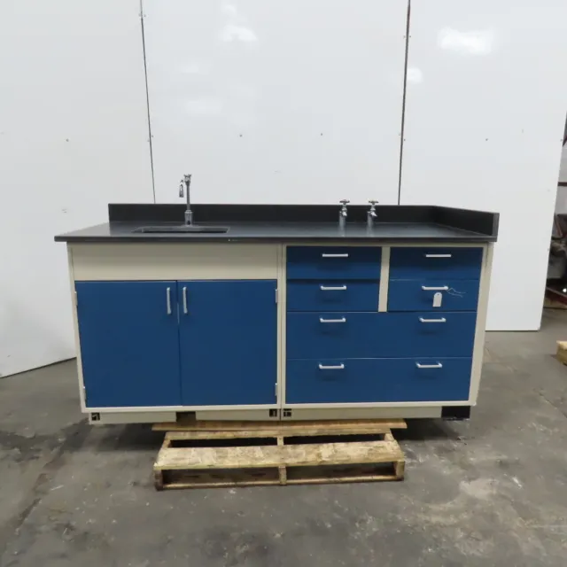 Fisher Hamilton 30" x 74" Laboratory Lab Sink Cabinet Work Station 6 Drawer