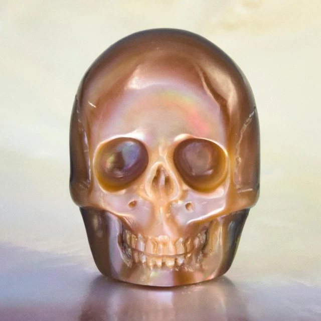Skull Design Penguin-Wing Oyster Shell & Paua Abalone Carving Cabochon 3.53 g