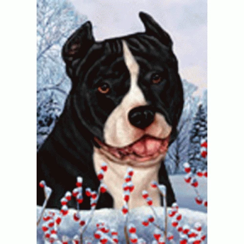 Winter House Flag - Black and White American Pit Bull Terrier 15405