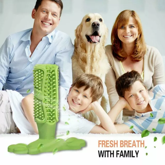 Dog Toothbrush Toy Clean Teeth Brushing Stick Pet Chewing **PROMOTION** 3