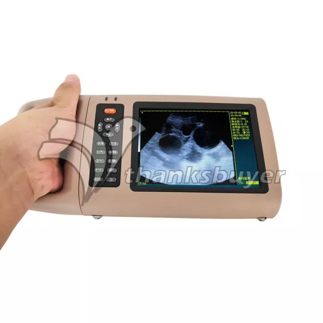 C30 Vet Ultrasound Machine Scanner w/ Rectal Linear Probe For Cow Horse Donkey
