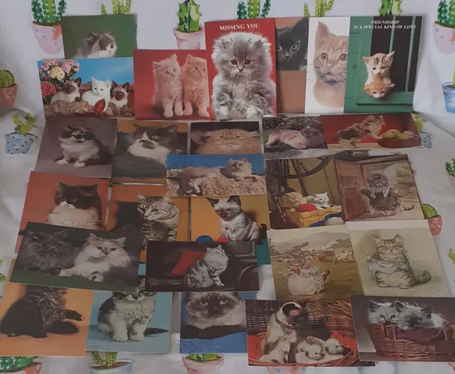 Job Lot of Cat Kitten Postcards. New 'Old Stock'. 27 In Total.