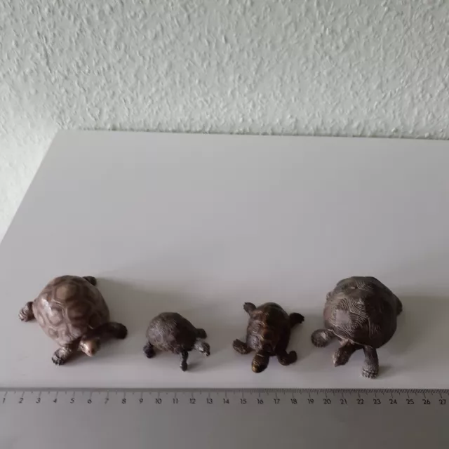 4 Schleichtiere Schildkröten Wildtiere selten rar gut