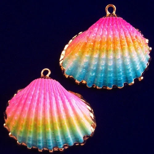 2Pcs Gold Edge Rainbow Scallop shell Pendant Bead 32x28x3mm F47743