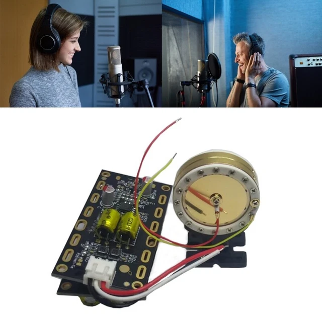 PROFESSIONAL 34MM MICROPHONE Cores Large Diaphragm Condenser Mic Board ...