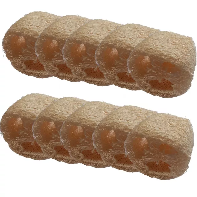 10x 4,5cm Luffa Luffaschwamm Massage Peeling Vegan Naturschwamm Schwamm Natur