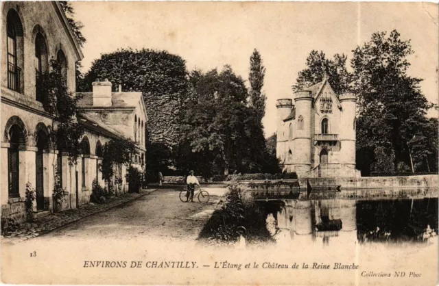 CPA l'Etang et le Chateau de la Rene Blanche (377637)