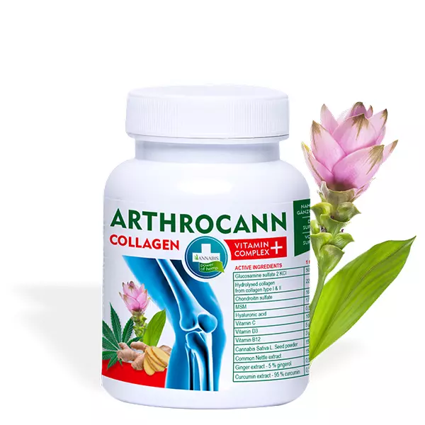 ANNABIS ARTHROCANN COLLAGEN VITAMIN KOMPLEX+ Nahrungsergänzungsmittel 60tbl.