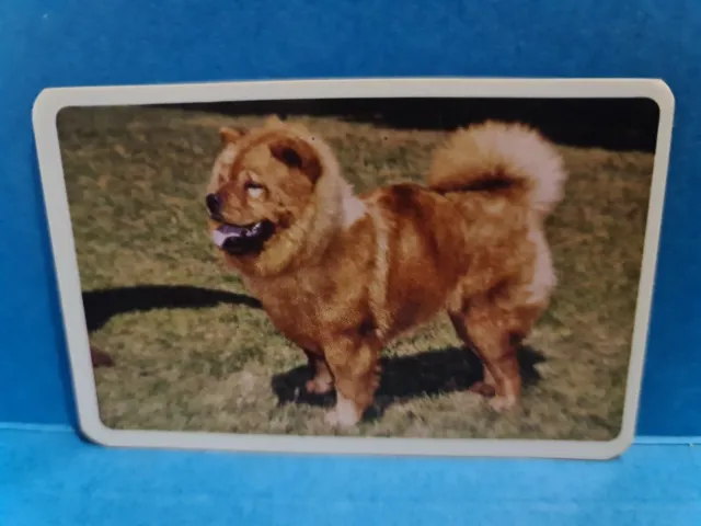 Golden Fleece Swap Cards DOGS #32 CHOW CHOW Trading Card🏆FREE POST