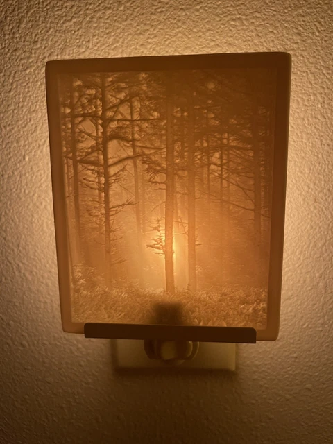 The porcelain garden Lithophane Night Light "WOODLAND AND SUNBEAMS" New in Box