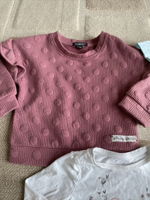 Girls mixed clothing bundle age 2-3 years jumper dress t-shirt etc 5