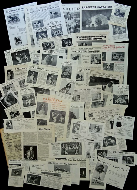 CAVALIER KING CHARLES SPANIEL DOG Cuttings Pages Breed History Research Articles