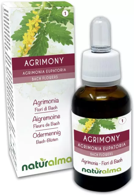 Agrimony Ou Aigremoine (Agrimonia Eupatoria) Fleurs De Bach Naturalma | N. 1 | G 2