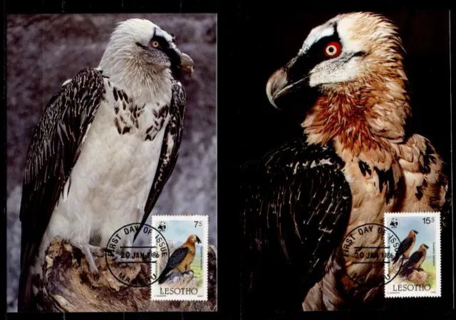 WWF Greifvögel. Bartgeier. 4 Maximumkarten. Lesotho 1986