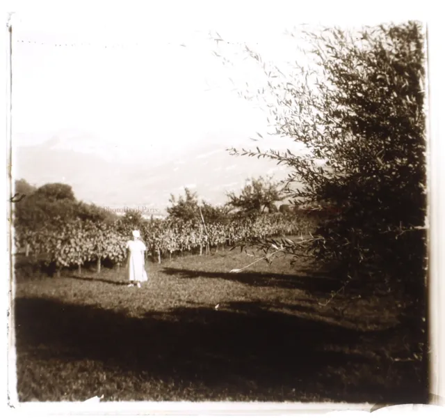 Femme dans un jardin c1930 Photo Plaque de verre Stereo Vintage VR1