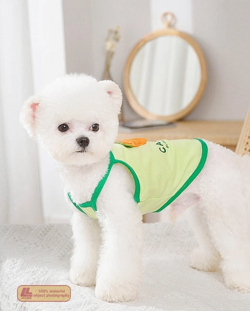 Mascota gato pequeño perro ropa oso de peluche perro lindo dibujo animado mascota chaleco verde