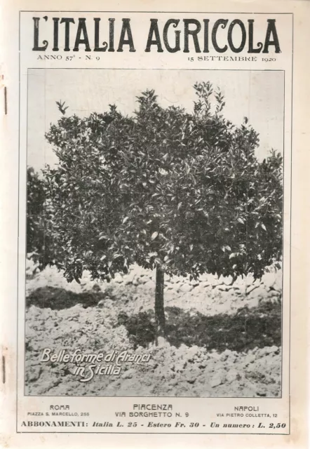 L'italia Agricola 15 Settembre 1920 - Belleforme Di Aranci In Sicilia