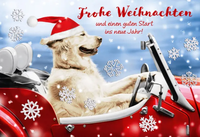 schöne Weihnachtskarte Hund Labrador Frohe Weihnachten und einen  - mit Umschlag