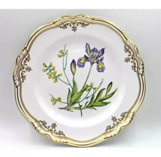 Spode China Stafford Flowers Dinner Plate (s) ENGLAND Iris & Sphaerolobium 11"
