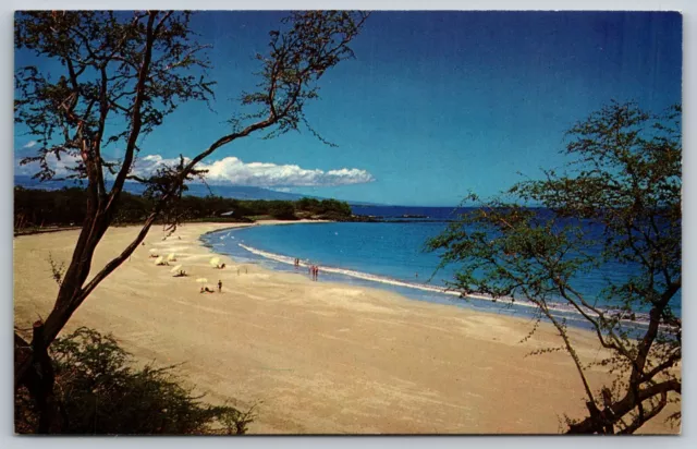 WAIMEA HI Mauna Kea Beach Hotel unused c1960 UNP vintage chrome Postcard A71