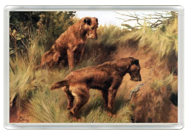 Irish Terrier Dogs Dog Art Print Novelty Acrylic Fridge Magnet Gift