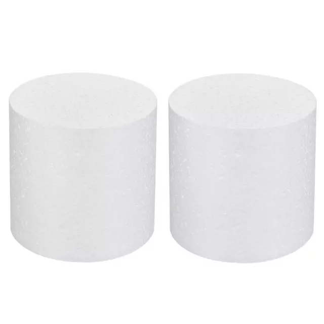 Round Foam Cake Dummy 4 Inch x 4 Inch Circle Dummy Cake Set for Wedding 2 Pack