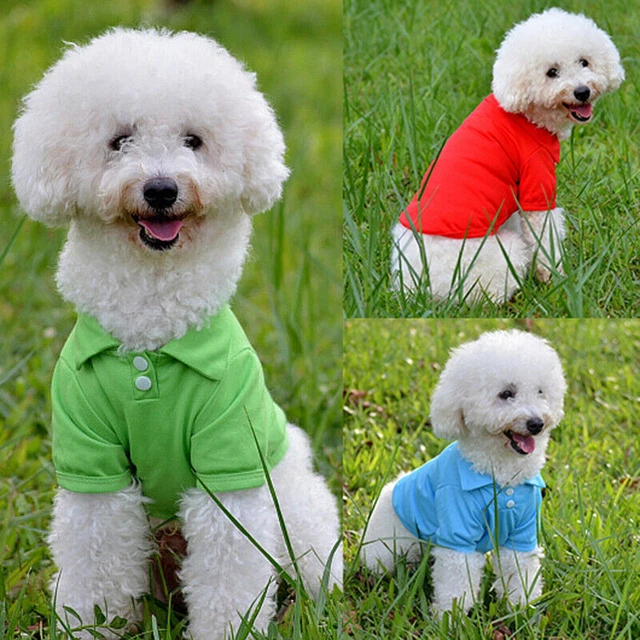 Carina polo cane cucciolo gatto t-shirt vestiti solidi abbigliamento per piccolo animale domestico XS-XL
