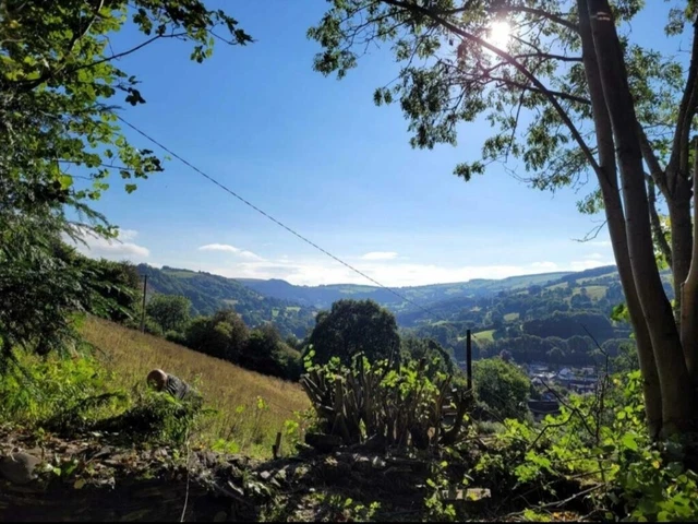 Detached cottage with 2.66 acres Detached cottage with 2.66 acres