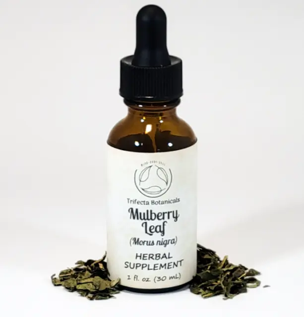 MULBERRY LEAF Herbal Supplement / Liquid Extract Tincture / Morus nigra Plant