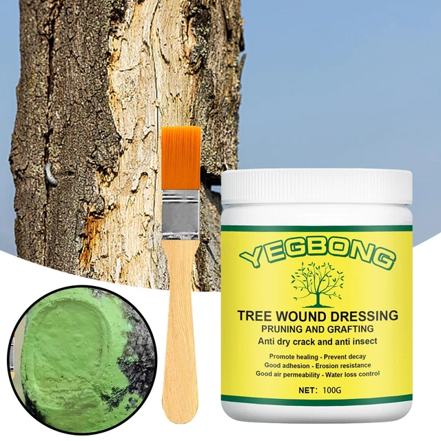 thumbnail image 2 of Bonsai Healing Paste Tree Wound Sealer Paste - 100g Pruning Cut Protection With Brush Tree Wound Dressing 2 of 9