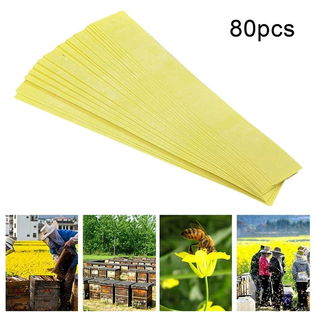 429146_2 429146_2