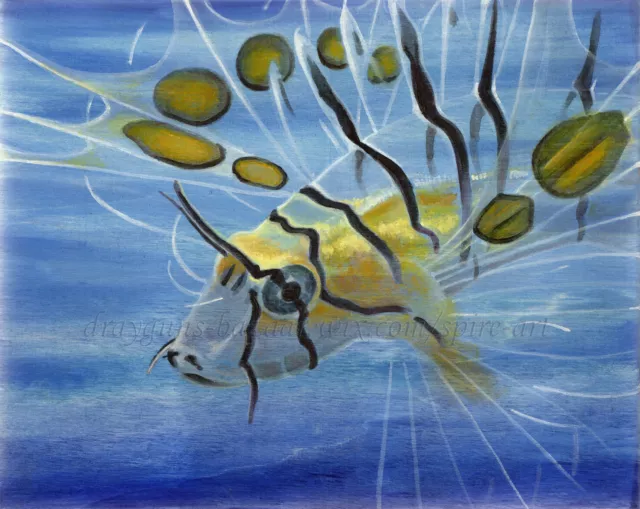 SFA Original Art 8x10" Red Lion Fish Oil Painting Ocean Water Animal - SMcNeill