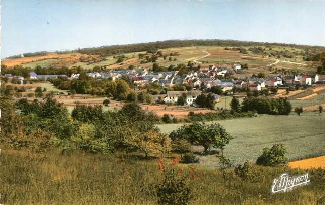 Carte VILLIERS SAINT DENIS Vue générale de Villiers sur Marne