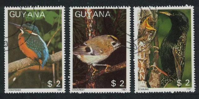 Guyana Birds 3v 1987 CTO