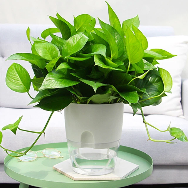 2 Layer ABS Flowerpot Self Watering Plant Container w/Water Tank (10.5cm) 2