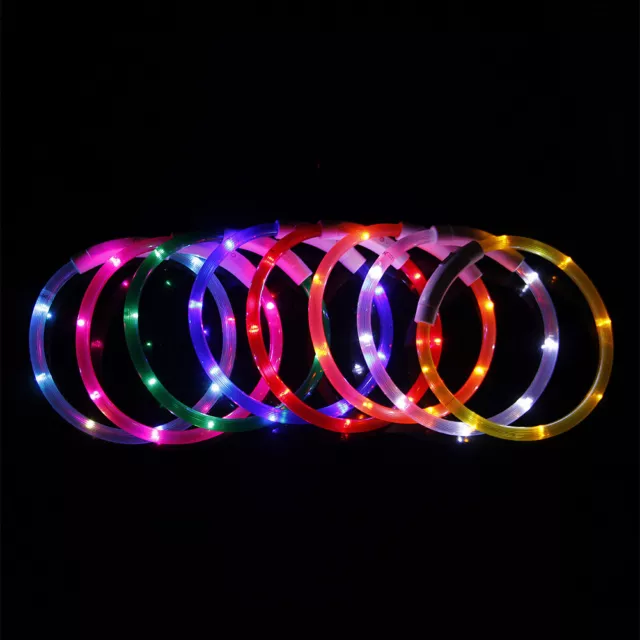 LED Dog Collar Bright & High Visibility USB Rechargeable for Pet Night Walking