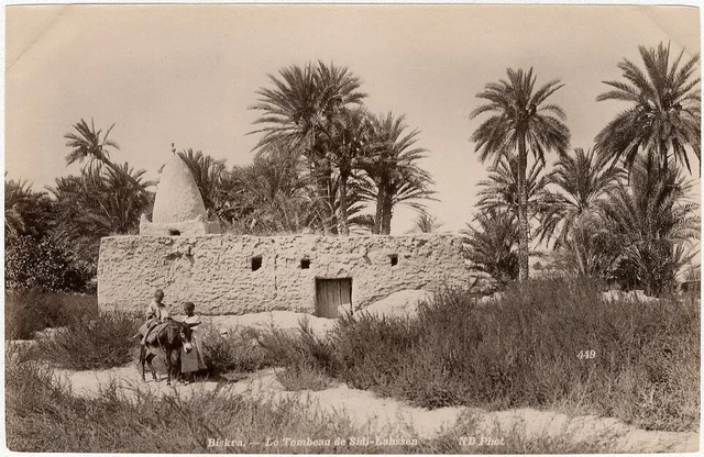 Tirage Albuminé Vintage Algérie Biskra Circa 1880 - Format 21x27 Cm, Original
