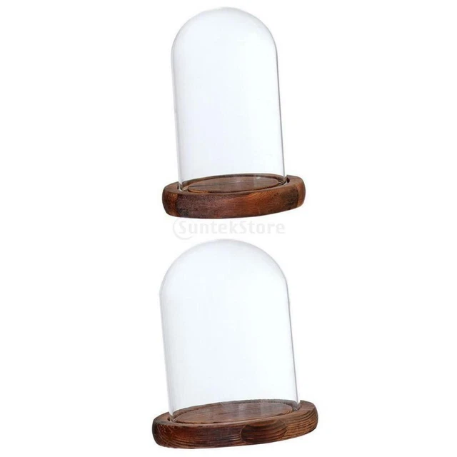 2 Stück durchsichtiger, staubdichter Glas-Cloche-Dome-Sukkulentenbehälter mit