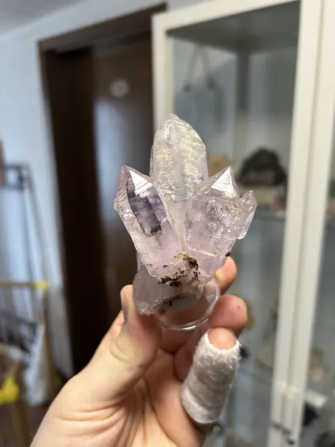 Amethyst-XX / Vera Cruz Mexiko / Mineralien