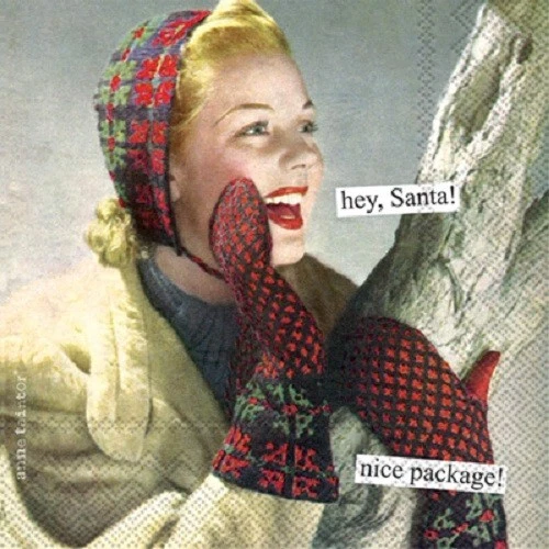 Hey Santa Nice Package! BI Anne Taintor Paper Napkins, 20-Count Cocktail Size